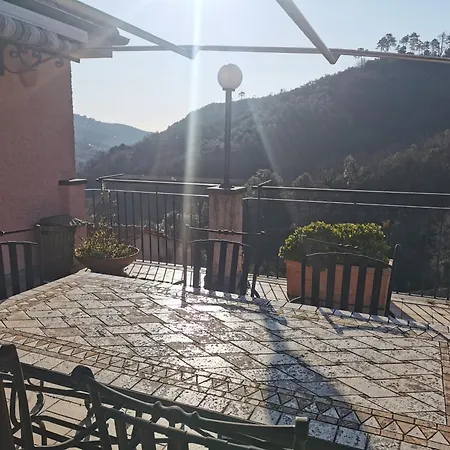 Il Pino 19 * Bocco