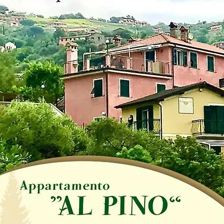 Il Pino 19